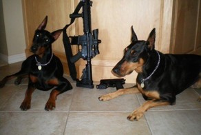 Смешной фотоприкол