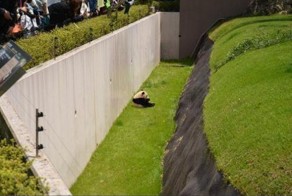 Фотоприкол недели