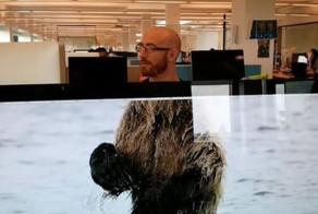 Прикольные фото