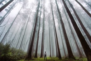 24 поразительные фотографии о нашем месте в этом мире