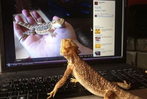 Фотоподборка