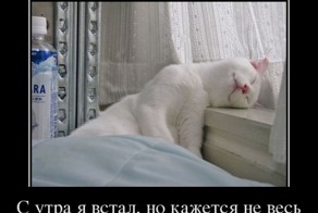 Подборка демотиваторов