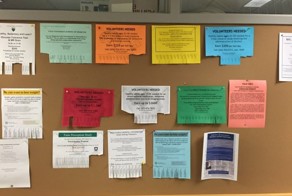 Какие исследования проводятся в Йельском университете