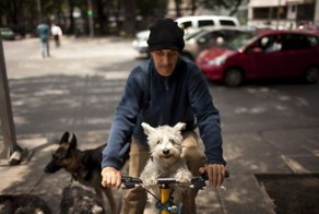 Свежий фотоприкол