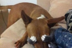 Прикольные фото и картинки от zubrilov за 15.07.2013 №161693