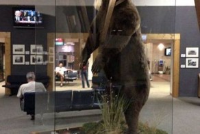 Смешные рисунки