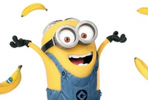 Интересные факты о миньонах