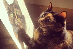 Новый фотоприкол