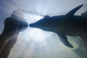 Отпадные фотки