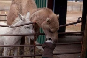14 неловких моментов, пойманных на камеру