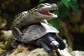 Отпадные фотки