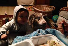 Собака говорит слово "мама"