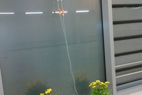 Фанни фото