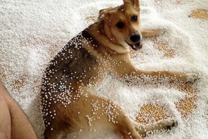 Фотоприкол бесплатно
