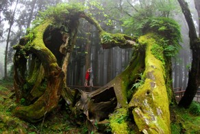 Фотоподборка за 06.08.2015