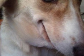 Смешные рисунки