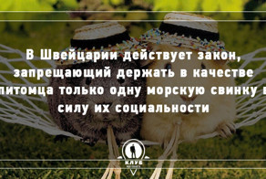 9 интересных фактов о мире
