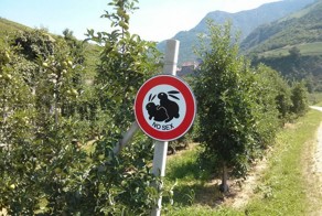 Фотоальбом