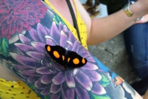 Смешные картинки