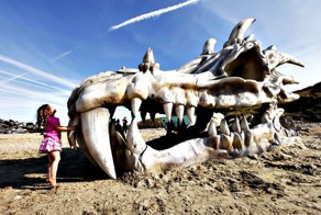 Фото прикол