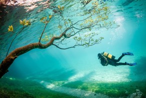 27 фотографий, которые показывают как удивительна и интересна жизнь на планете