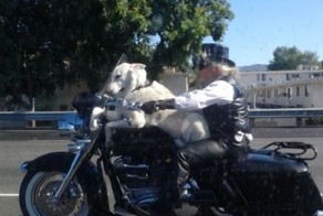 Прикол картинка