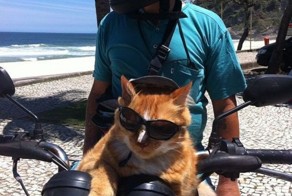 Улетное фото