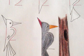 Как научить ребенка рисовать с помощью цифр