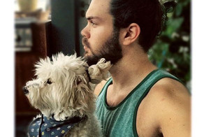 Собаки с гульками — новый модный тренд в мире моды