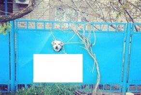 Опасность выглядит так!