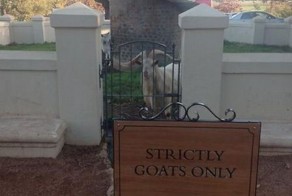 Улетное фото