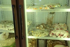 Отпадные фотки