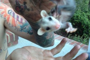 Фотоприкол онлайн