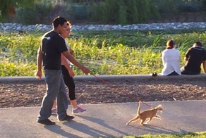 Зачетное фото