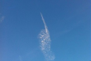 Бесплатный фотоприкол