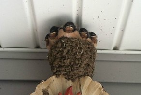 Фотоприкол бесплатно