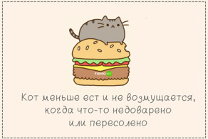 Кот вместо мужа или 16 причин "за"