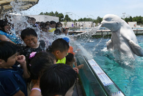 20 животных, сумевших здорово поиздеваться над людьми