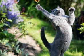 Прикол картинка