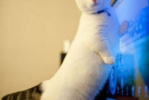 Прекрасные фото