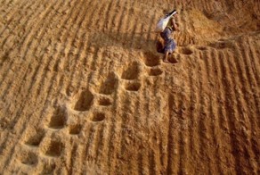 16 удивительных фотографий, меняющих представление об окружающем мире