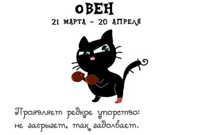 Кошачий Зодиак для хорошего настроения на весь день  