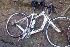 Велосипедист сбил оленя