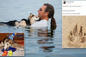 Умерла собака, фото которой тронуло весь мир (11 фото)