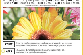 Абсолютно всё, что нужно знать новичкам и любителям о фотографии