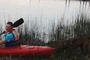 Собака спасает своего хозяина