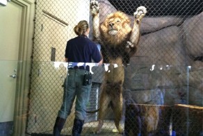 Прекрасные фото