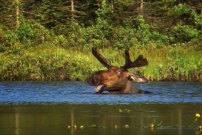 Прикольные фото