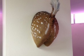 Фотоприкол фото