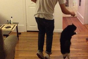 Фотоподборка